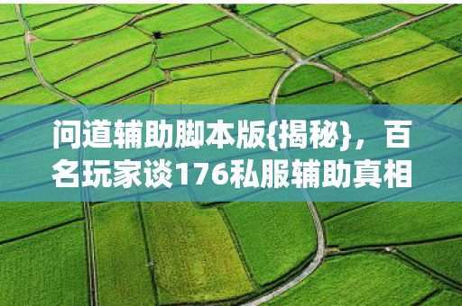 百名玩家谈176私服辅助真相图片