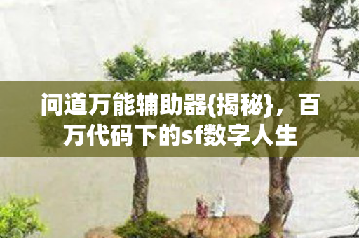 百万代码下的sf数字人生图片