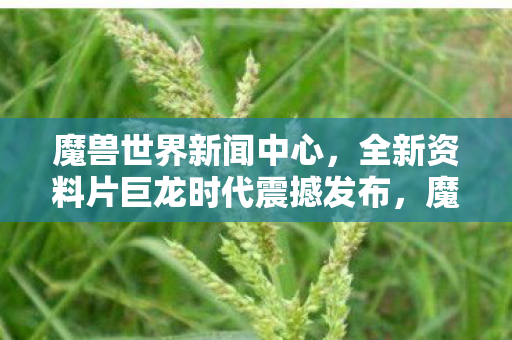 全新资料片巨龙时代震撼发布图片