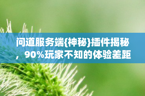 玩家不知的体验差距图片