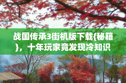 战国传承3街机版下载{秘籍},十年玩家竟发现冷知识全错 战国传承3街机版下载{秘籍},十年玩家竟发现冷知识全错