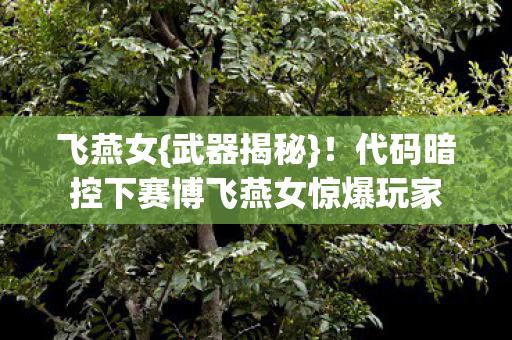 飞燕女{武器揭秘}!代码暗控下赛博飞燕女惊爆玩家 飞燕女{武器揭秘}!代码暗控下赛博飞燕女惊爆玩家