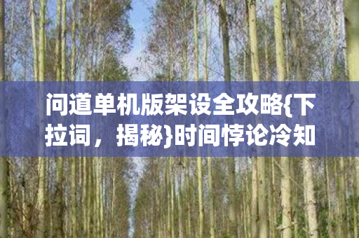 问道单机版架设全攻略图片