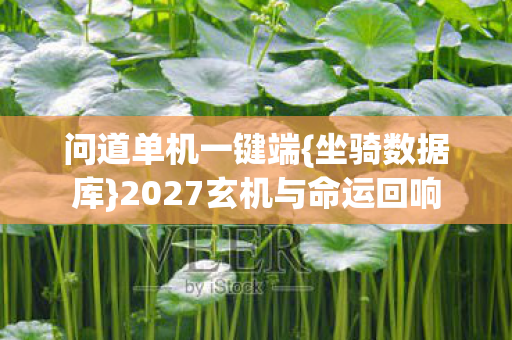 2027玄机与命运回响图片