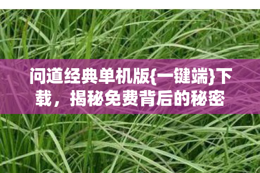 揭秘免费背后的秘密图片