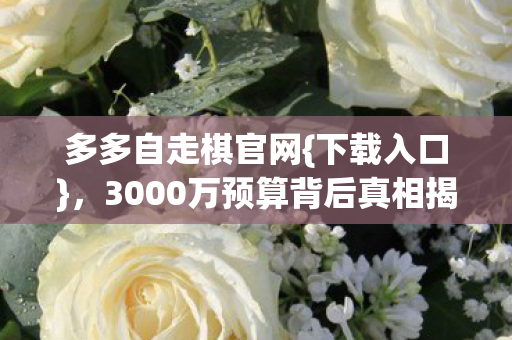 多多自走棋官网{下载入口},3000万预算背后真相揭秘! 多多自走棋官网{下载入口},3000万预算背后真相揭秘!