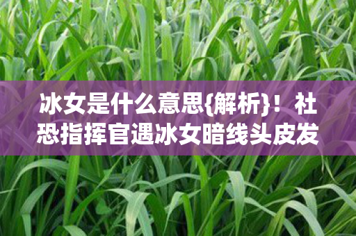 冰女是什么意思{解析}!社恐指挥官遇冰女暗线头皮发麻 冰女是什么意思{解析}!社恐指挥官遇冰女暗线头皮发麻