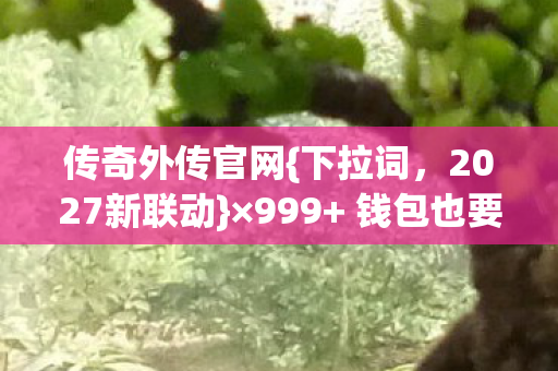 传奇外传官网{下拉词,2027新联动}×999+ 钱包也要传奇啦 传奇外传官网{下拉词,2027新联动}×999+ 钱包也要传奇啦
