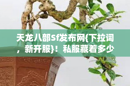 天龙八部Sf发布网图片