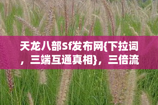 天龙八部Sf发布网图片