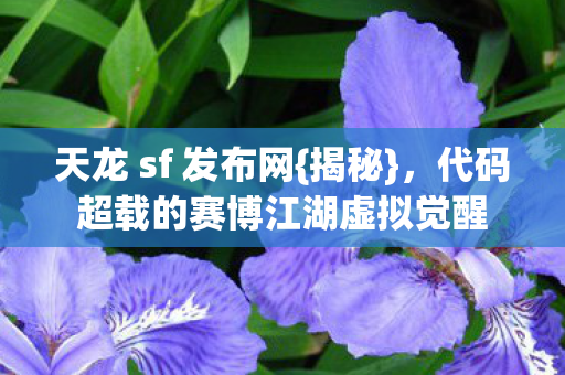 代码超载的赛博江湖虚拟觉醒图片