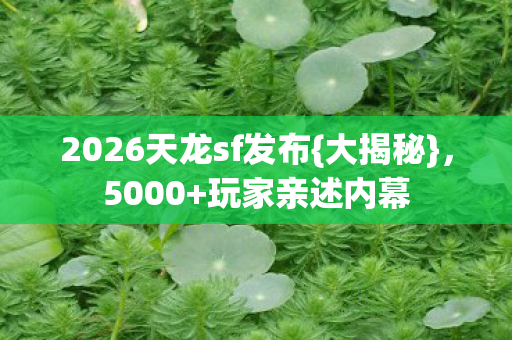 2026天龙sf发布图片