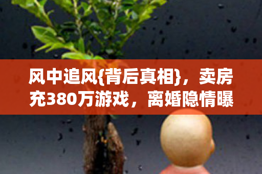 风中追风{背后真相}，卖房充380万游戏，离婚隐情曝光