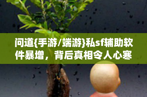 私sf辅助软件暴增图片