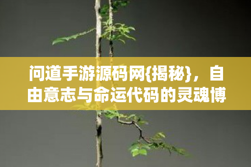 自由意志与命运代码的灵魂博弈图片