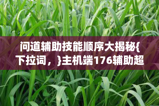 问道辅助技能顺序大揭秘图片