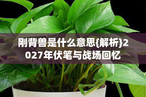 刚背兽是什么意思{解析}2027年伏笔与战场回忆 刚背兽是什么意思{解析}2027年伏笔与战场回忆