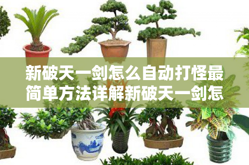 新破天一剑怎么自动打怪最简单方法详解新破天一剑怎么自动打怪,新破天一剑,最简单自动打怪方法详解 新破天一剑怎么自动打怪最简单方法详解新破天一剑怎么自动打怪,新破天一剑,最简单自动打怪方法详解
