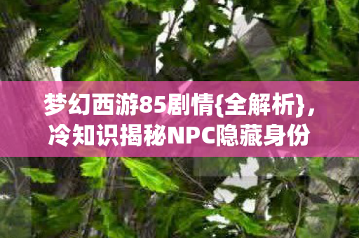 冷知识揭秘NPC隐藏身份图片