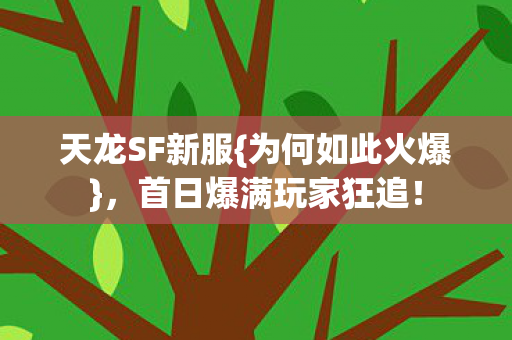 首日爆满玩家狂追图片