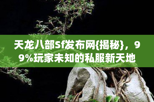 玩家未知的私服新天地图片