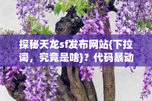 探秘天龙sf发布网站图片