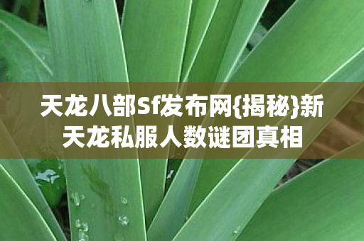 新天龙私服人数谜团真相图片