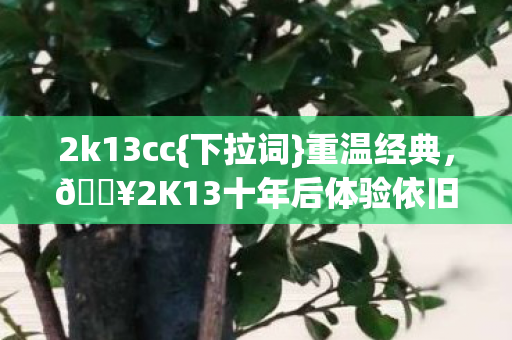 2K13十年后体验依旧过瘾图片