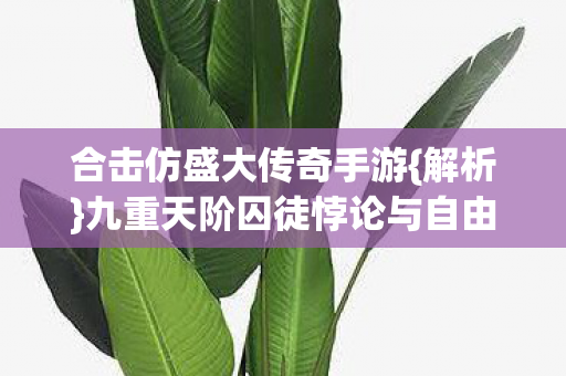 九重天阶囚徒悖论与自由命运图片