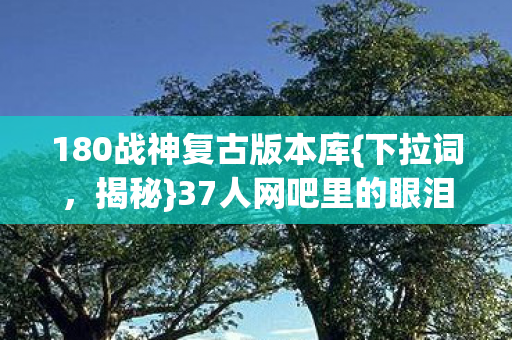 37人网吧里的眼泪与狂笑图片