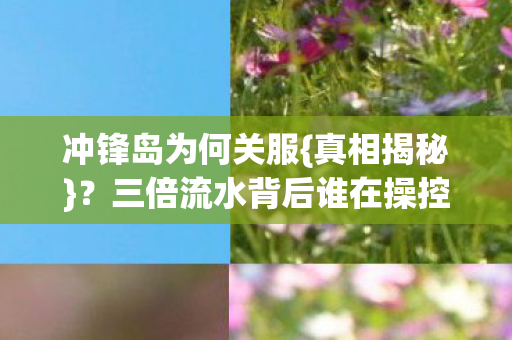 冲锋岛为何关服{真相揭秘}?三倍流水背后谁在操控? 冲锋岛为何关服{真相揭秘}?三倍流水背后谁在操控?