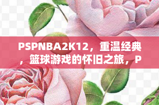 PSPNBA2K12图片