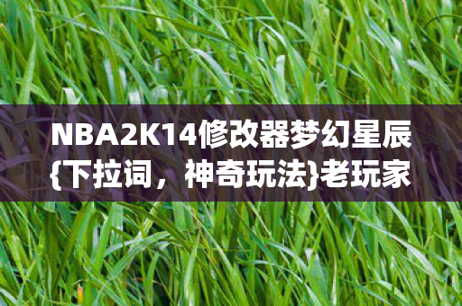 NBA2K14修改器梦幻星辰{下拉词,神奇玩法}老玩家盛赞 NBA2K14修改器梦幻星辰{下拉词,神奇玩法}老玩家盛赞