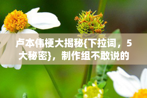 卢本伟梗大揭秘{下拉词,5大秘密},制作组不敢说的设计逻辑 卢本伟梗大揭秘{下拉词,5大秘密},制作组不敢说的设计逻辑