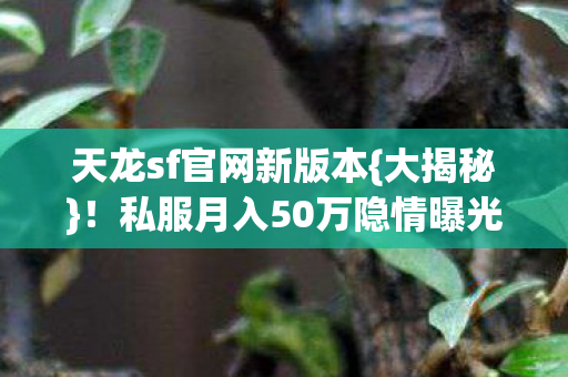 私服月入50万隐情曝光图片