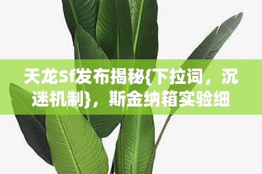 斯金纳箱实验细思极恐图片