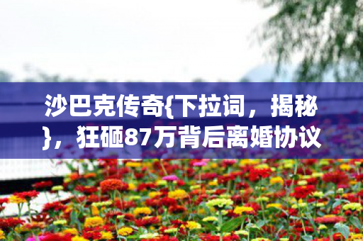 沙巴克传奇{下拉词,揭秘},狂砸87万背后离婚协议的惊人隐情 沙巴克传奇{下拉词,揭秘},狂砸87万背后离婚协议的惊人隐情