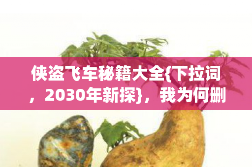 侠盗飞车秘籍大全{下拉词,2030年新探},我为何删光代码? 侠盗飞车秘籍大全{下拉词,2030年新探},我为何删光代码?