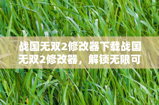战国无双2修改器下载战国无双2修改器图片