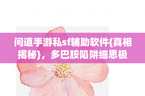 问道手游私sf辅助软件图片