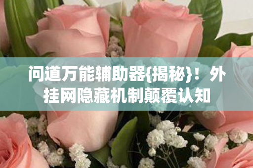 外挂网隐藏机制颠覆认知图片
