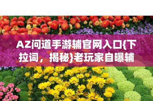 AZ问道手游辅官网入口图片