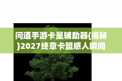 2027终章卡盟感人瞬间图片