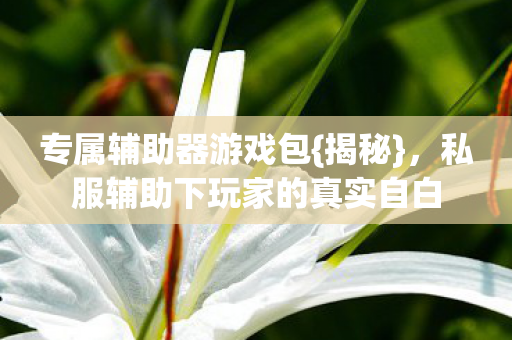 私服辅助下玩家的真实自白图片