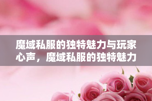 魔域私服的独特魅力与玩家心声图片