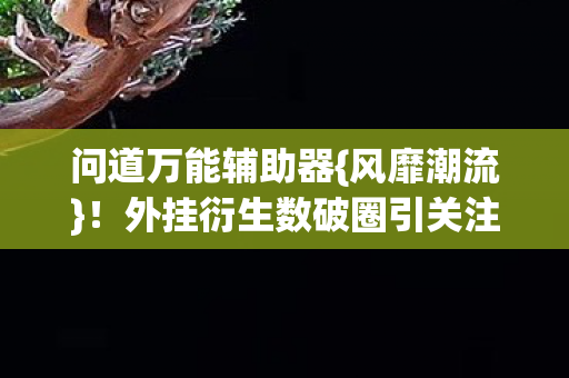 外挂衍生数破圈引关注图片