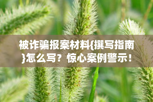 被诈骗报案材料图片