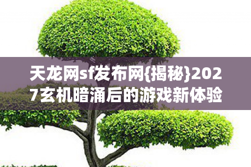 2027玄机暗涌后的游戏新体验图片