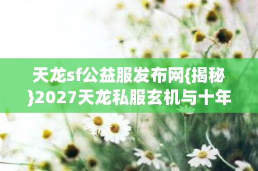 2027天龙私服玄机与十年感悟图片