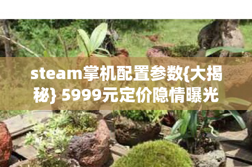 steam掌机配置参数图片